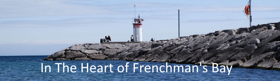 Pilates In the heart of Frenchman's Bay